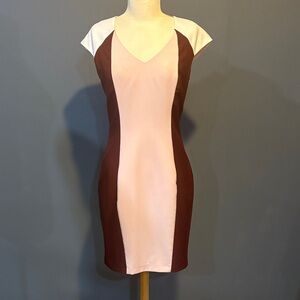 Dorothy Perkins Pink White Maroon Colorblock chic dress. Size 6 | Medium